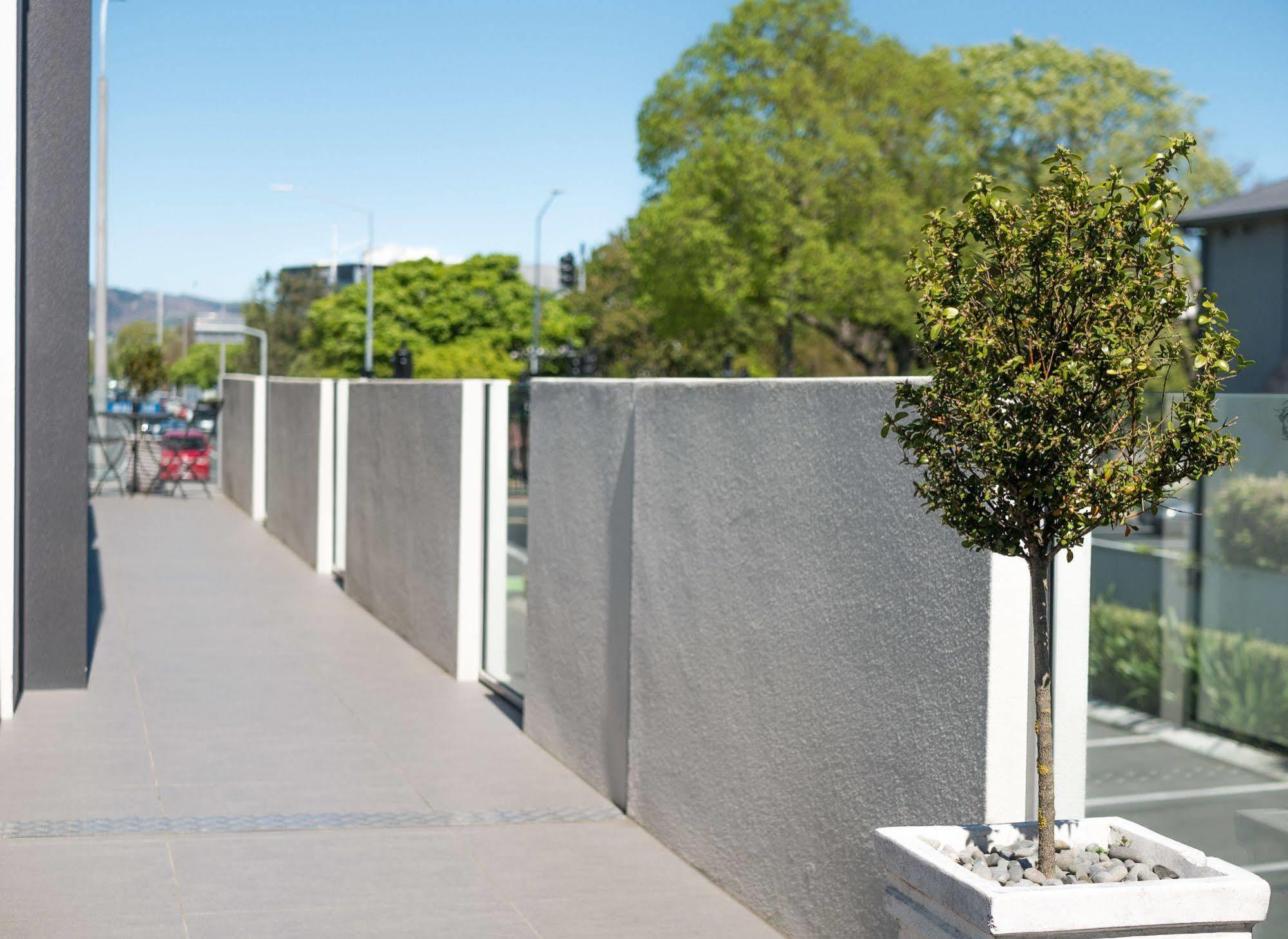 Bellano Motel Suites Christchurch Exteriér fotografie A tree in a planter box